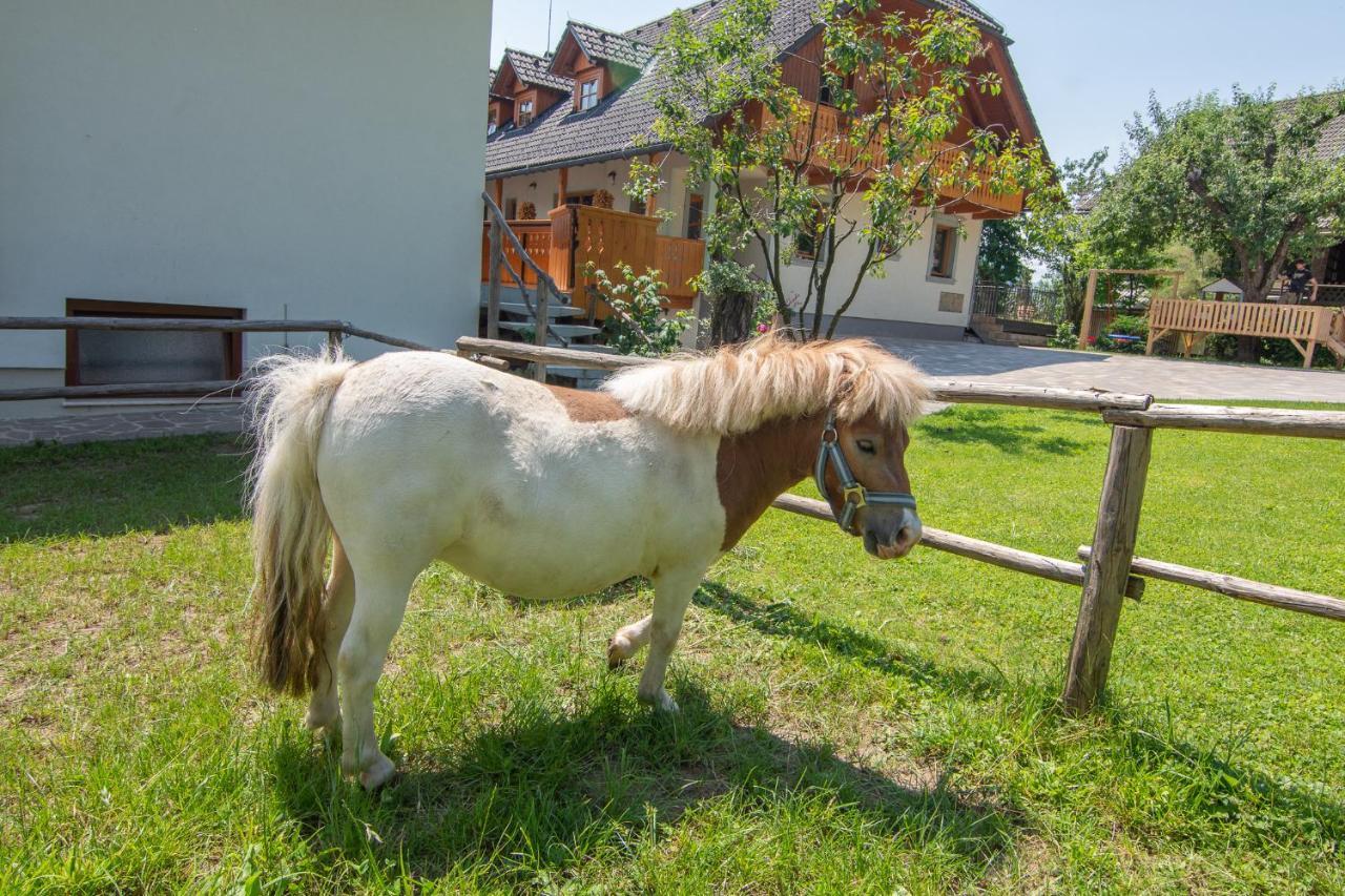 Tourist Farm "Pri Biscu" Villa เบลด ภายนอก รูปภาพ